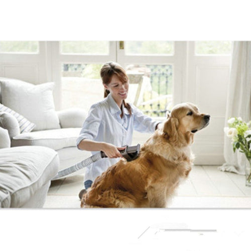 Pet Grooming Vacuum Brush for Dogs & Cats | Deshedding Tool | PawField