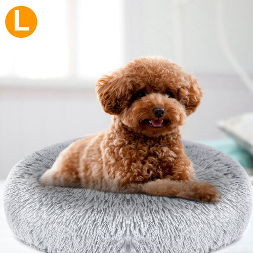 Calming Donut Dog Bed – Soft Anti-Anxiety Pet Bed | PawField