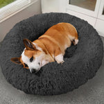 Calming Donut Dog Bed – Soft Anti-Anxiety Pet Bed | PawField