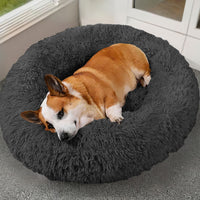 Calming Donut Dog Bed – Soft Anti-Anxiety Pet Bed | PawField