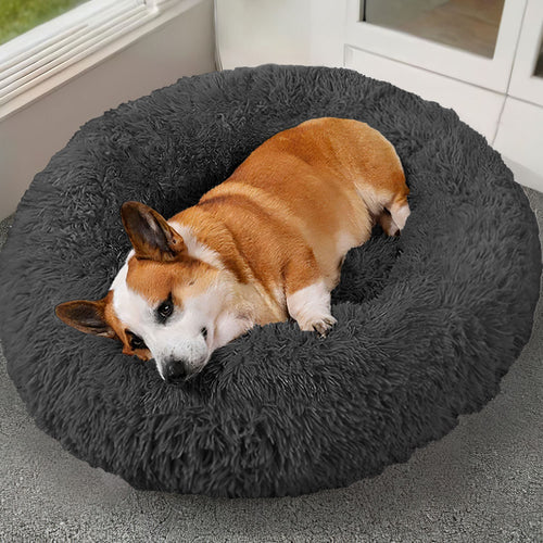 Calming Donut Dog Bed – Soft Anti-Anxiety Pet Bed | PawField