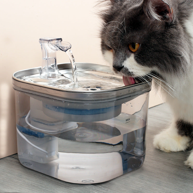 Stainless Steel Pet Water Fountain for Cats & Dogs | Automatic Flow | PawField