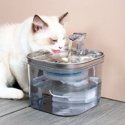 Stainless Steel Pet Water Fountain for Cats & Dogs | Automatic Flow | PawField